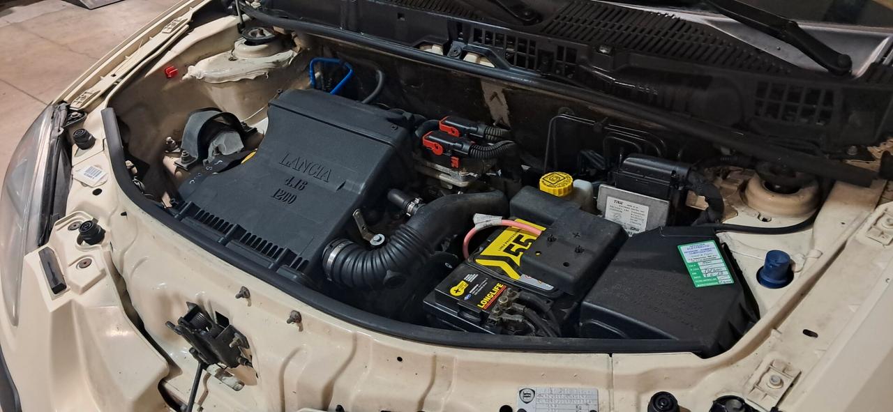 Lancia Ypsilon 1.2 16V Platino