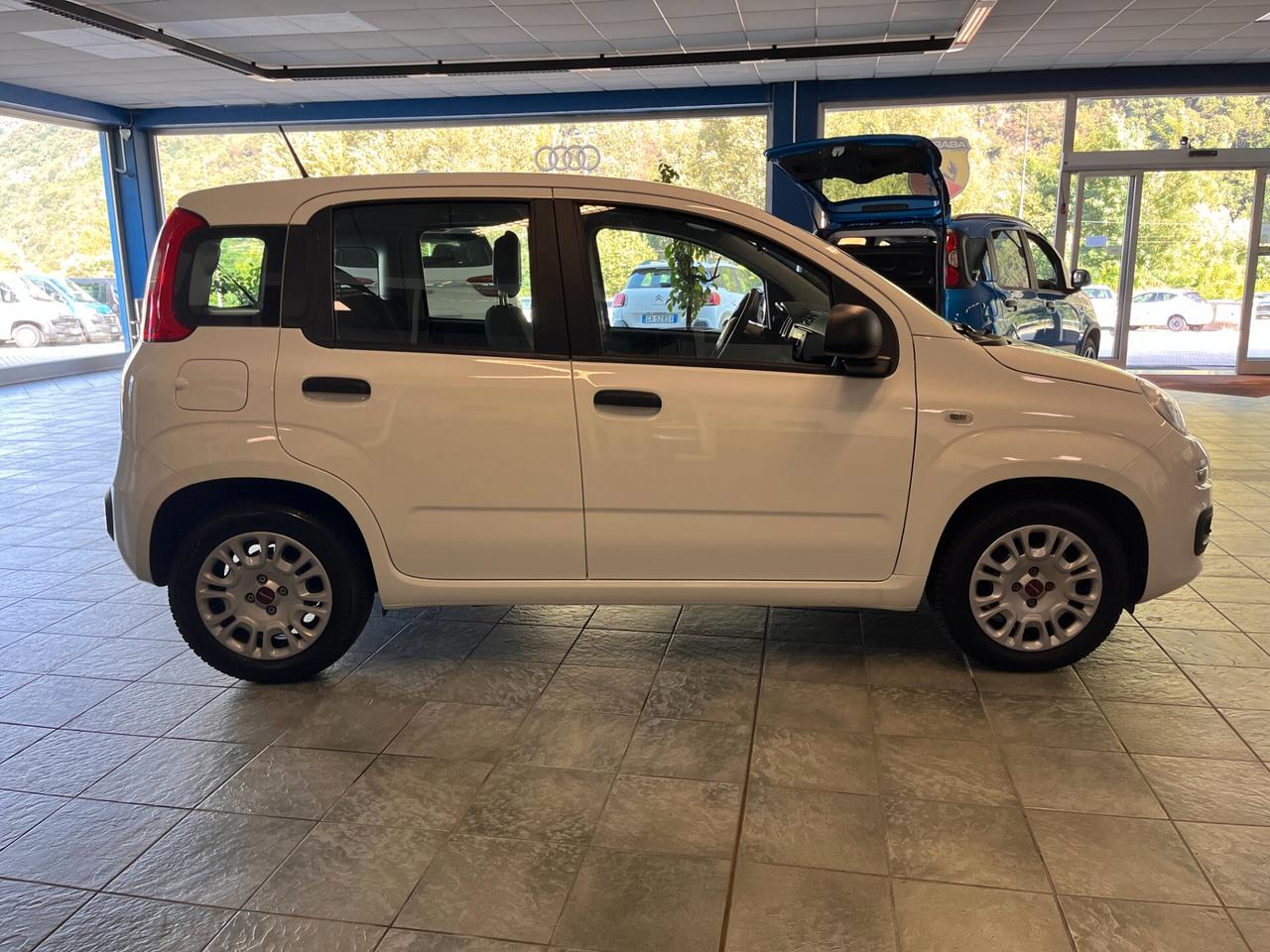 Fiat Panda 1.0 Hybrid Easy NEOPATENTATI