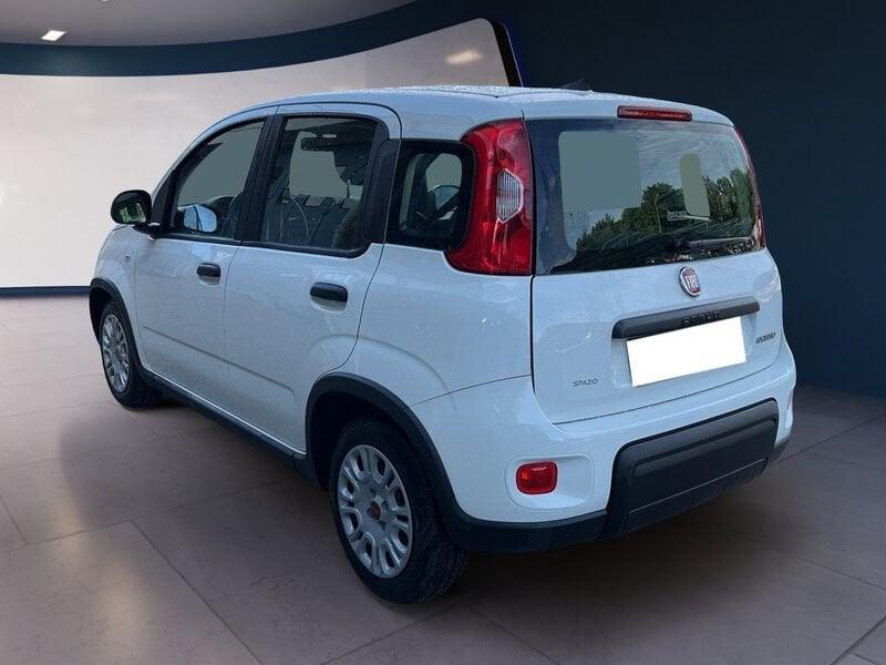 FIAT Panda My23 1.0 70cv Hybrid Panda