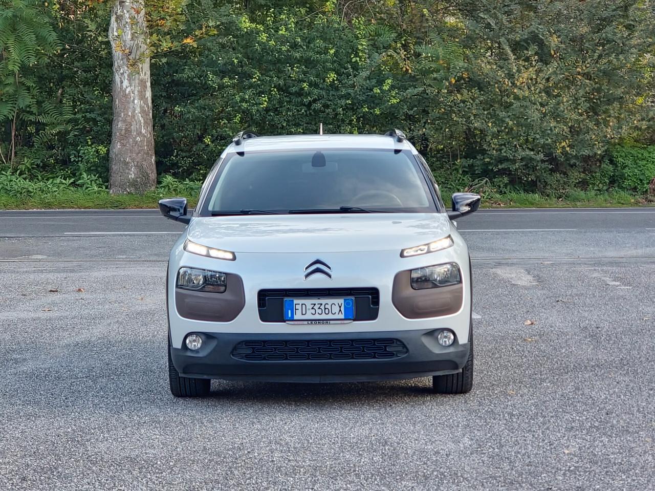 Citroen C4 Cactus BlueHDi 100 S&S Shine 2016-E6B Manuale