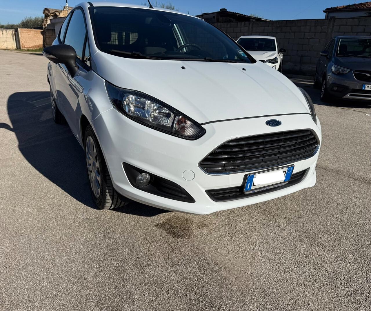 Ford Fiesta 1.5 TDCi 75CV 3 porte Van Entry