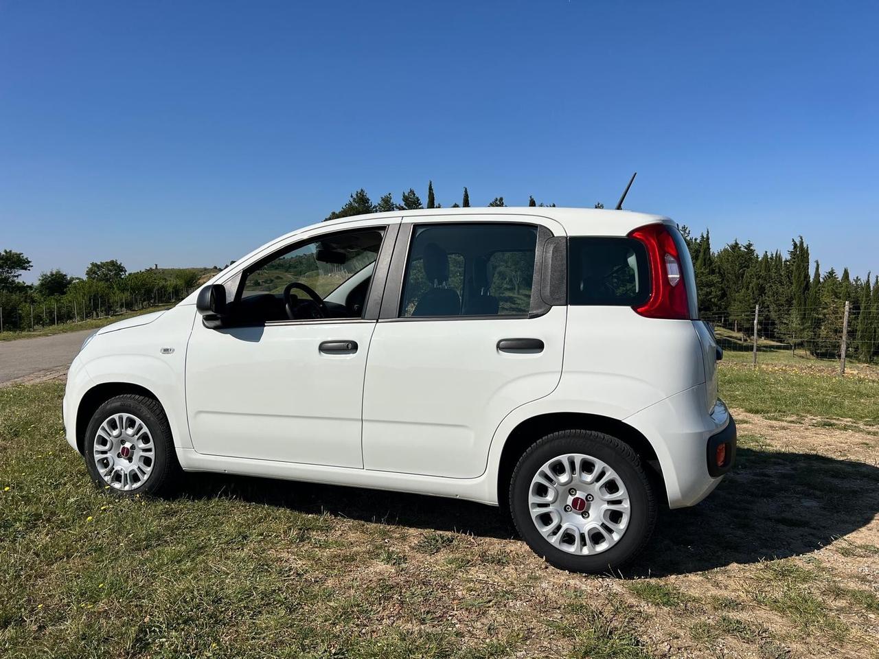 Fiat Panda 1.2 Easy 16v