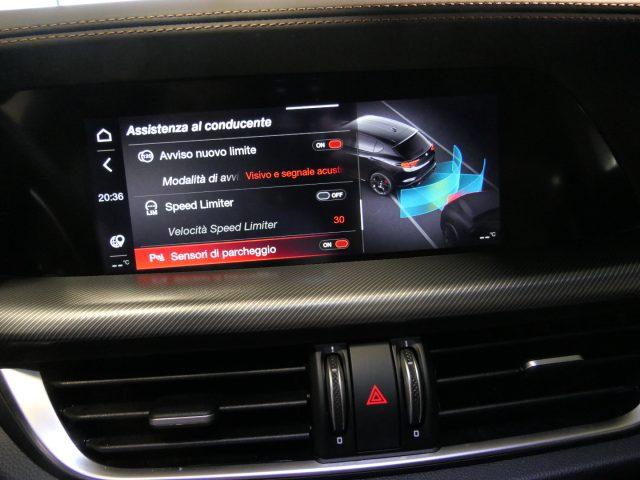 ALFA ROMEO Stelvio 2.2 Turbodiesel 210 CV AT8 Q4 Intensa