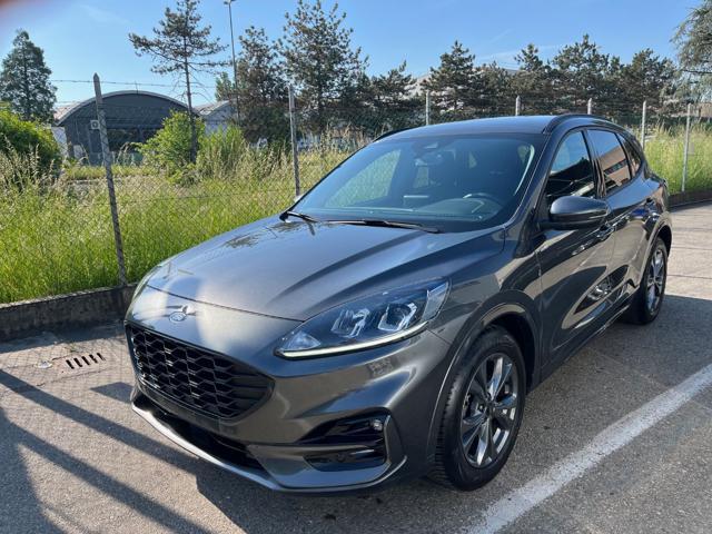 FORD Kuga 2.0 EcoBlue 120 CV aut. ST-Line
