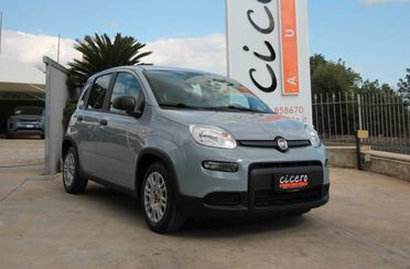 Fiat Panda 1.0 Hybrid City Life 70|36.900km|2023