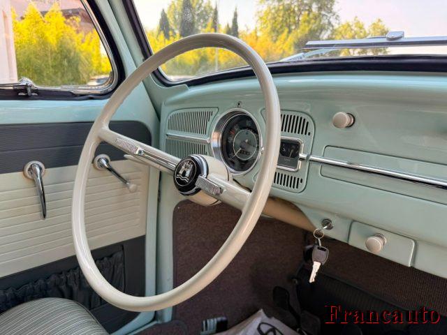 VOLKSWAGEN Maggiolino maggiolino