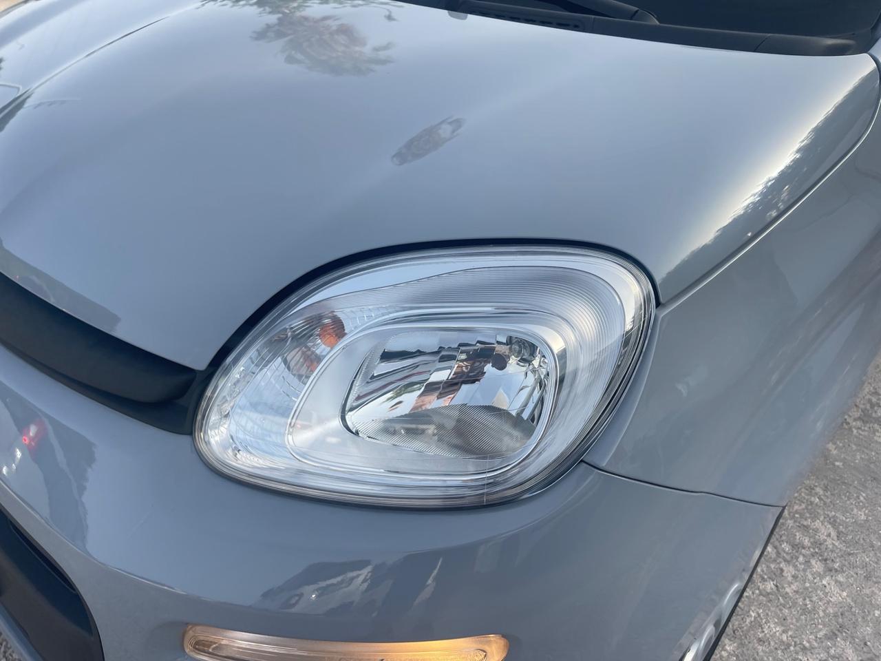 Fiat Panda Easy 1.0 FireFly 70cv