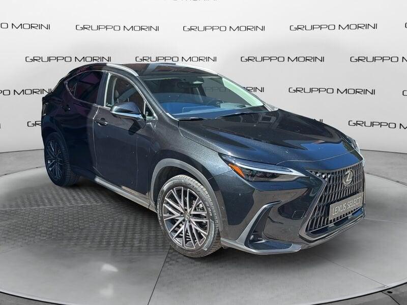 Lexus NX Hybrid Luxury 4WD MY22