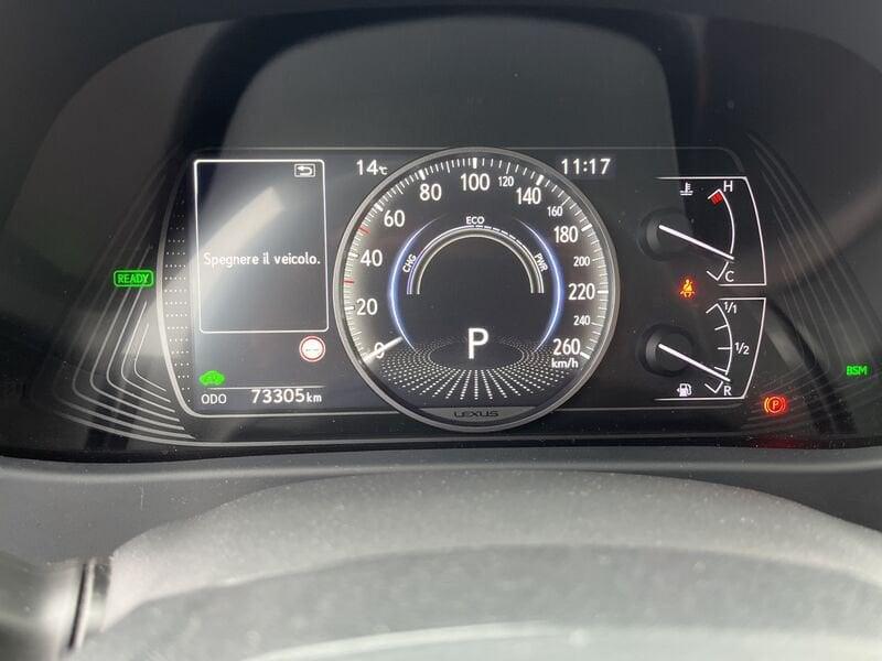 Lexus UX UX 250h 2.0 Luxury 2wd cvt