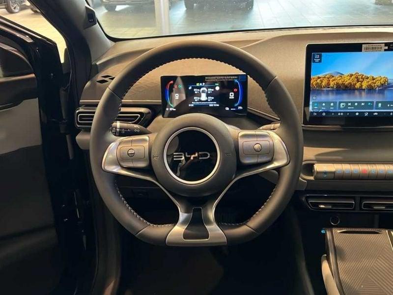 BYD Dolphin Surf Boost