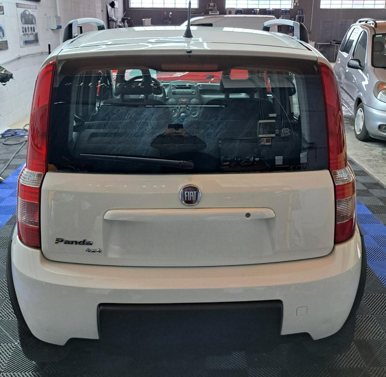 Fiat Panda 1.3 MJT 16V DPF 4x4 Climbing