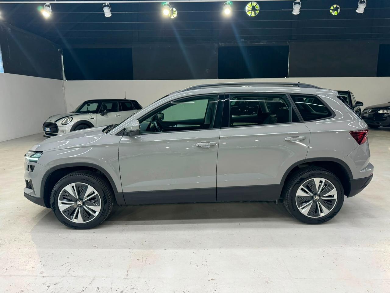Skoda Karoq 2.0 TDI EVO SCR 115 CV Ambition