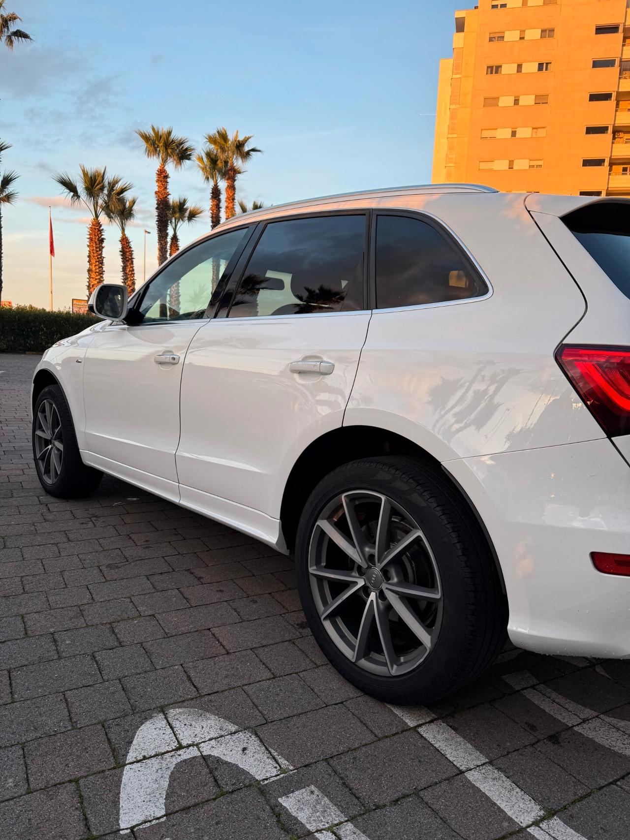 Audi Q5 2.0 TDI 190 CV clean diesel quattro S tr. Advanced Plus