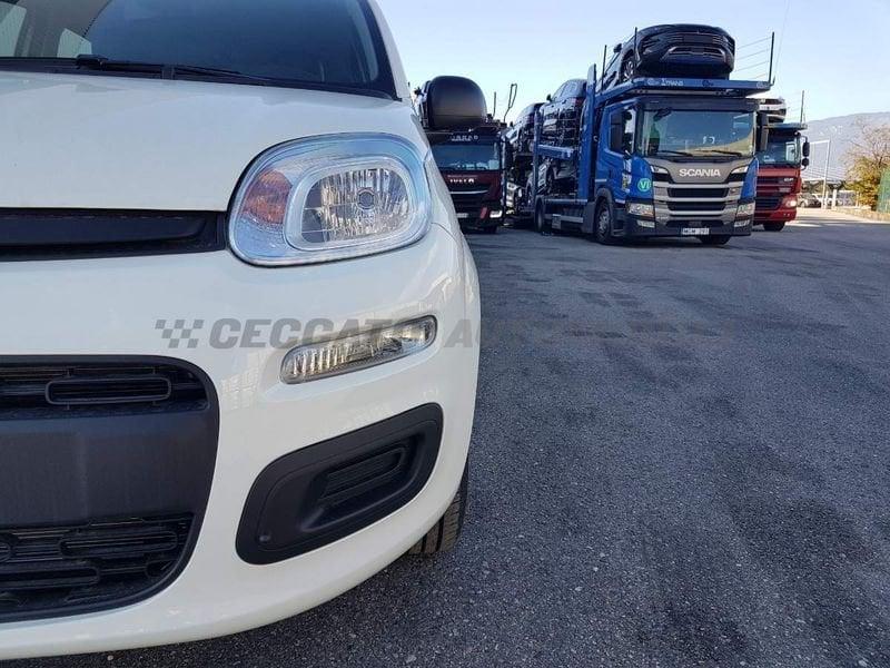 FIAT Panda Panda 1.0 70cv Hybrid Icon