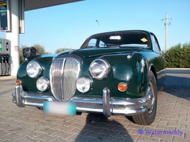 Daimler Super V8 250 •Targa Oro•
