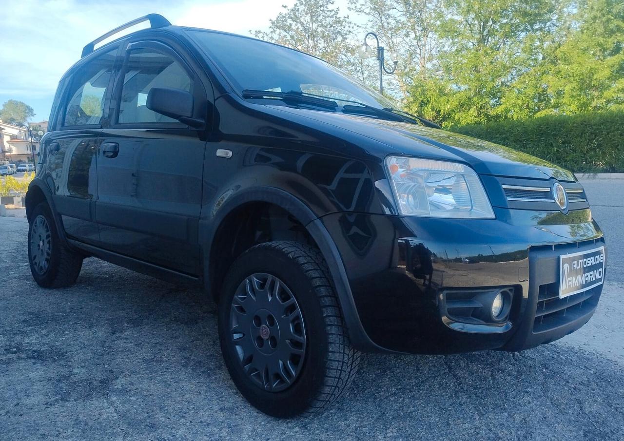 Fiat Panda 1.3 Mjet Climbing 4x4 70Cv