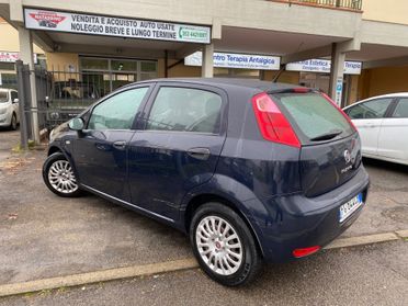 Fiat Punto 1.2 8V 5 porte Lounge ok neopatentati
