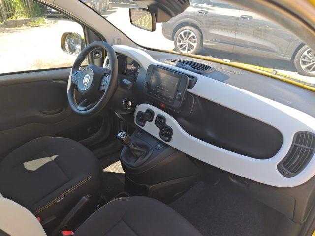 FIAT Panda 1000 HYBRID PANDINA 70 CV CARPLAY PDC ITALIA