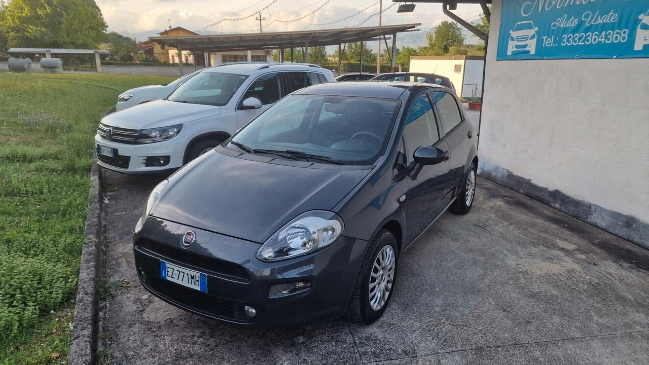 Fiat Punto 1.2 8V 5 porte Street - 2015 "ottime condiz."