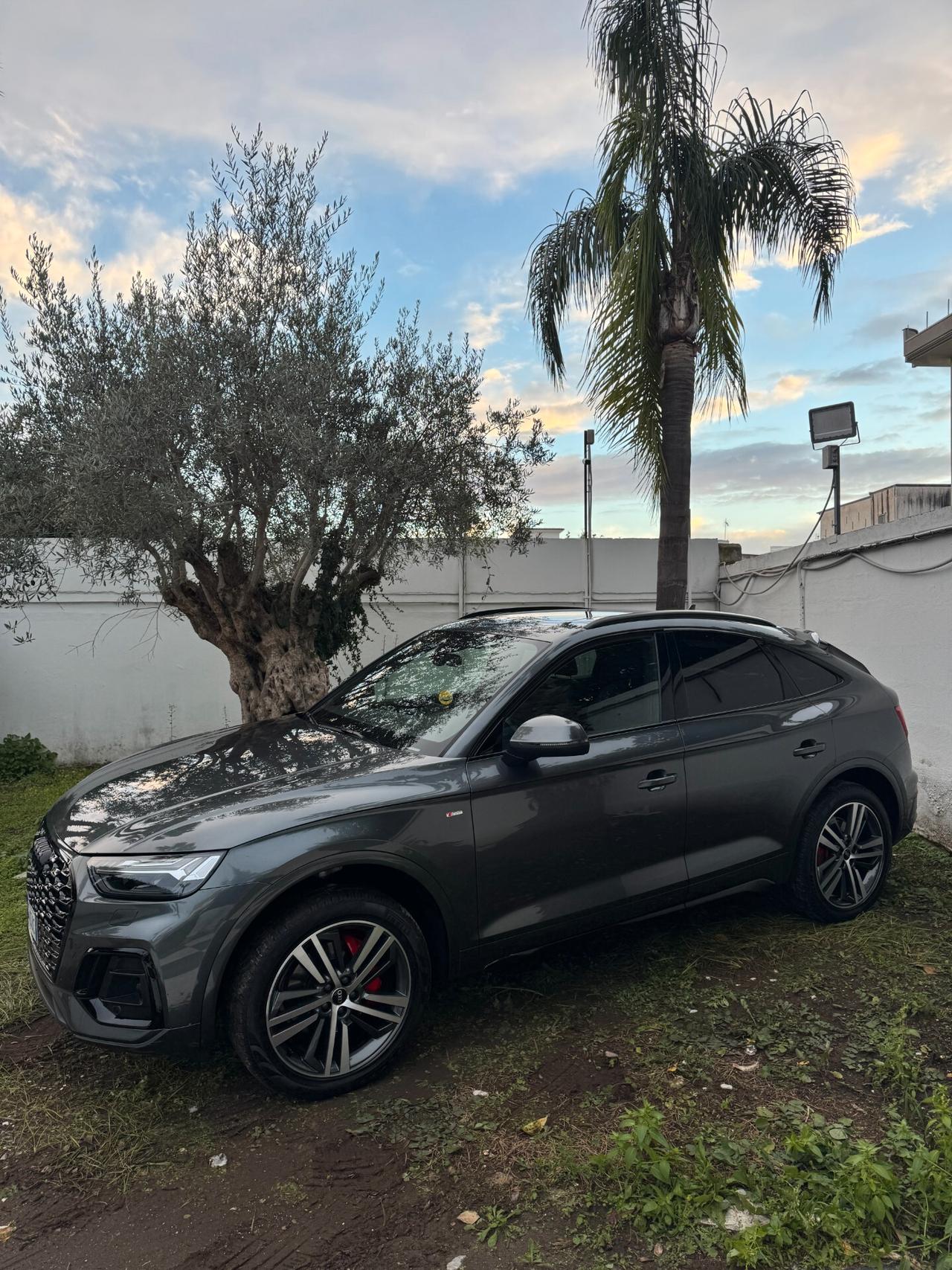 Audi Q5 SPB 50 TDI quattro tiptronic S line plus