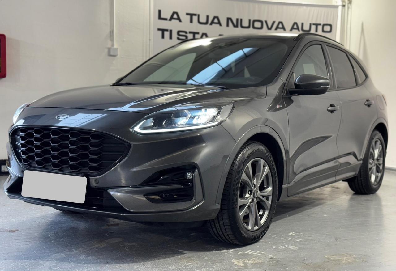 Ford Kuga 2.0 EcoBlue Hybrid 150 CV 2WD ST-Line