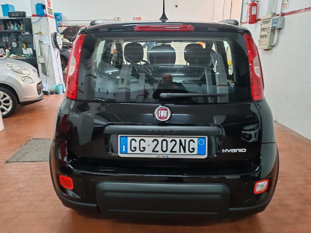 Fiat Panda 1.0 hybrid City Life 70cv 5 posti "ANDROID-APPLE CARPLAY