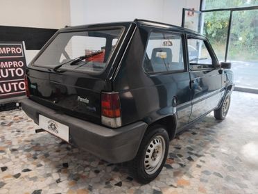 Fiat Panda 900 i.e. cat Young