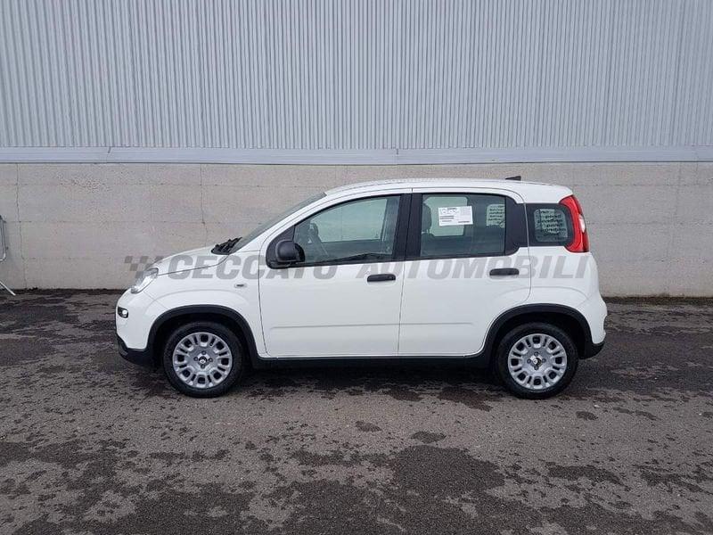 FIAT Panda Panda 1.0 70cv Hybrid Panda