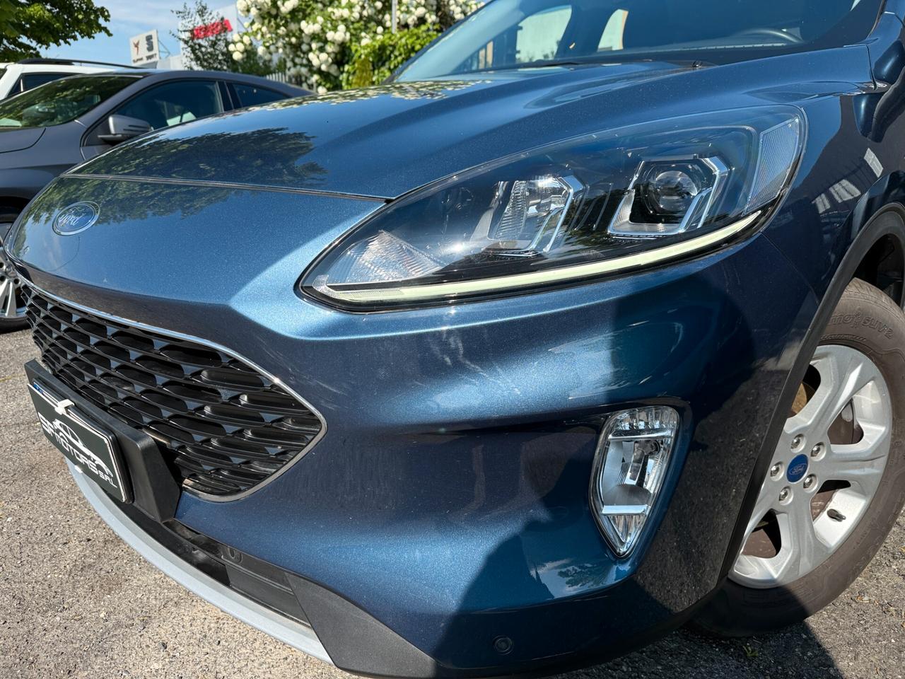 Ford Kuga 1.5 EcoBlue 120 CV aut. 2WD Titanium Business