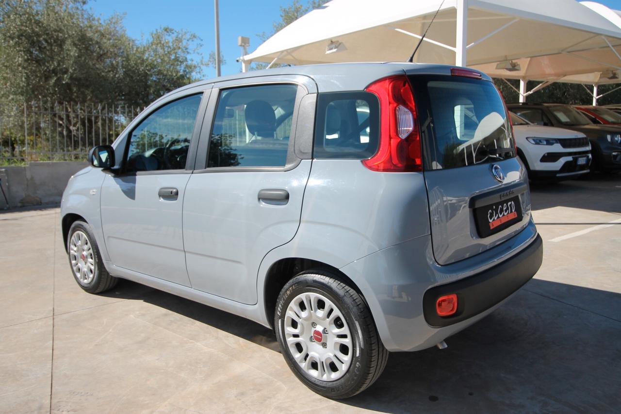 Fiat Panda 1.0 FireFly S&S Hybrid |21.920km|2022