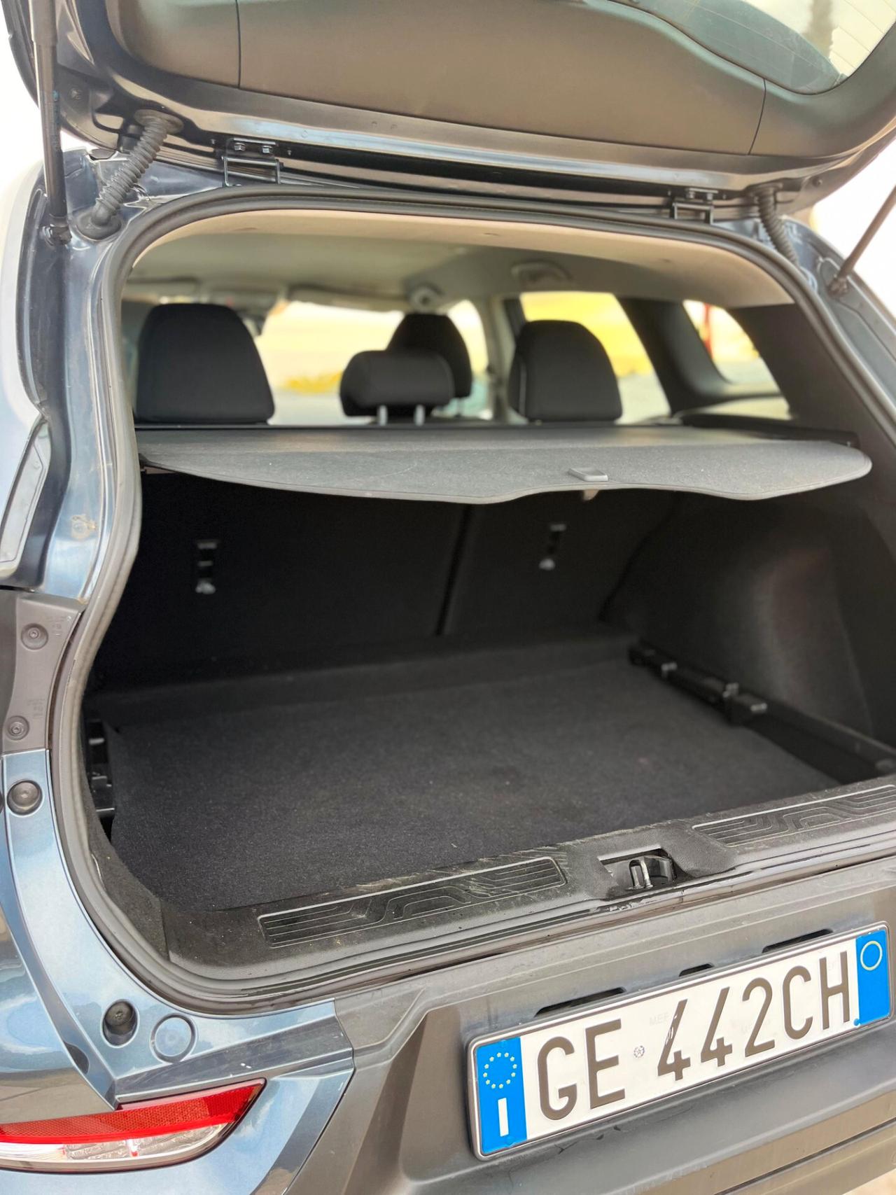 Renault Kadjar Blue dCi 8V 115CV EDC Intens