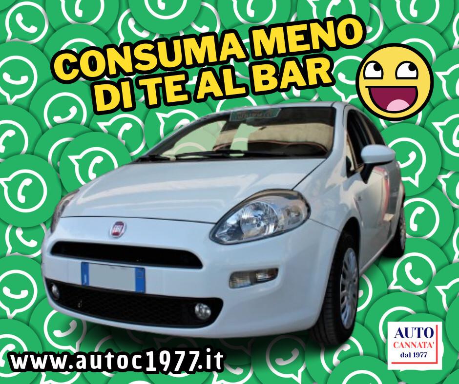 Fiat PUNTO 1.2 Street - *GPL* – 11/2013