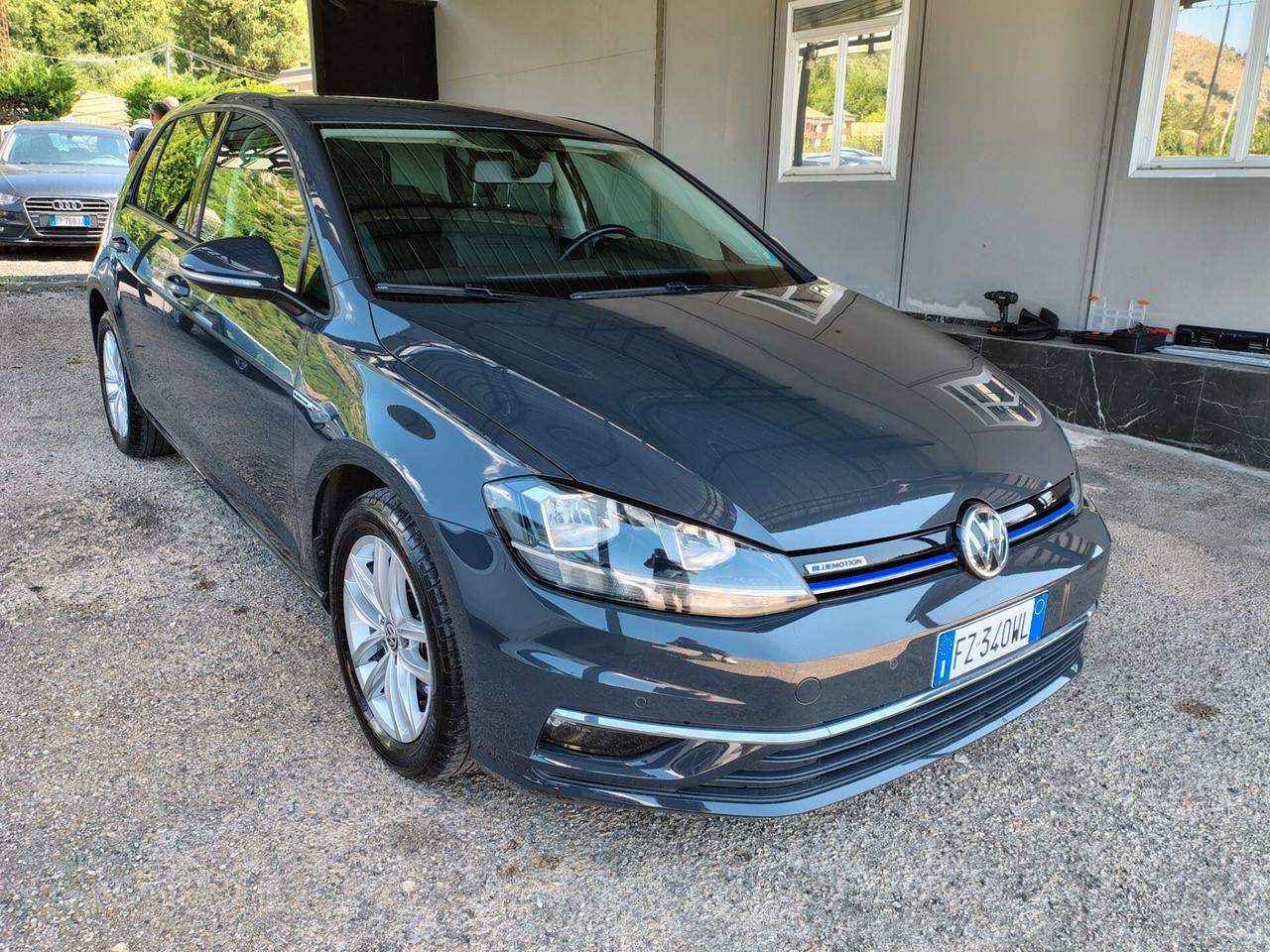 Volkswagen Golf 1.4 TGI 5p. Executive BlueMotion