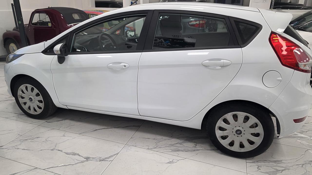 Ford Fiesta 1.2 60CV 5 porte Business