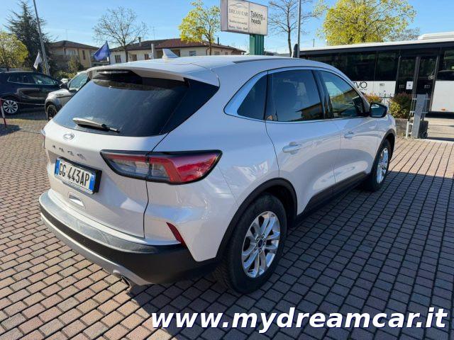 FORD Kuga 1.5 EcoBlue 120 CV 2WD