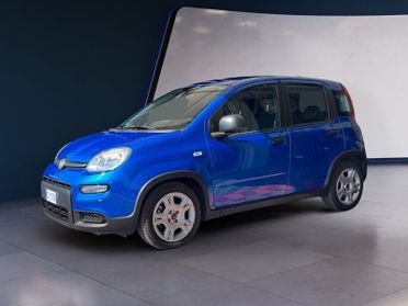 FIAT Panda Panda 1.0 FireFly 70cv S&S Hybrid * PROMO *