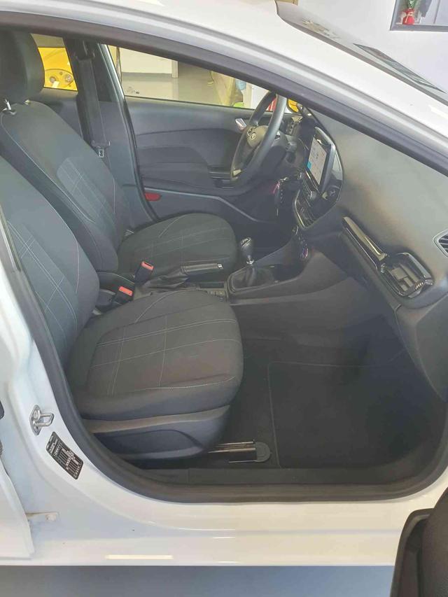 FORD Fiesta 1.5 EcoBlue 5 porte Business