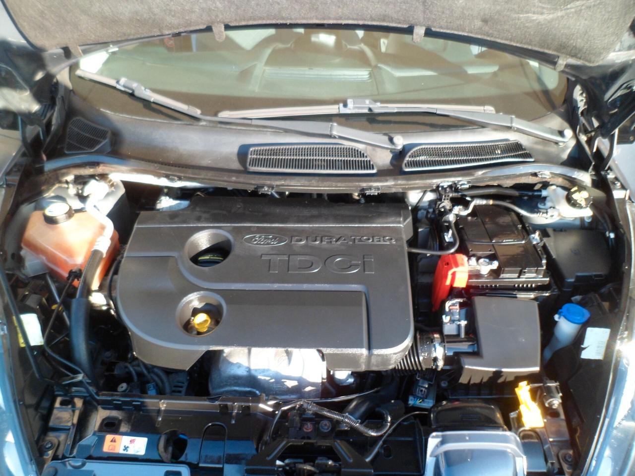Ford Fiesta 1.4 TDCi 70CV 5 porte full 12