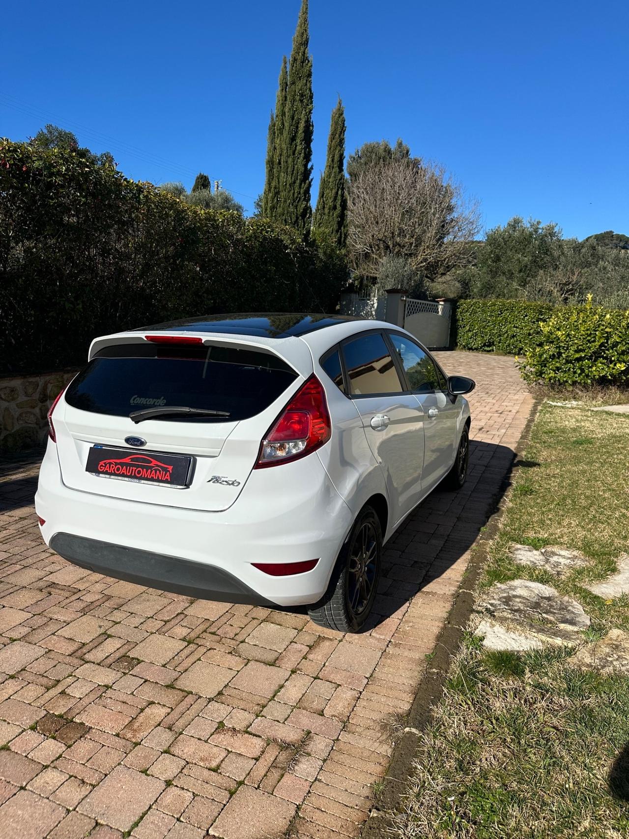 Ford Fiesta 1.5 TDCi 75CV 5 porte Black & White Edition