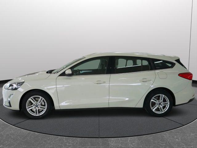 FORD Focus 1.5 EcoBlue 120 CV auto SW Co-Pilot