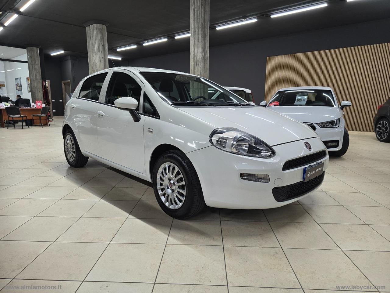 FIAT Punto 1.2 8V 5p. Street