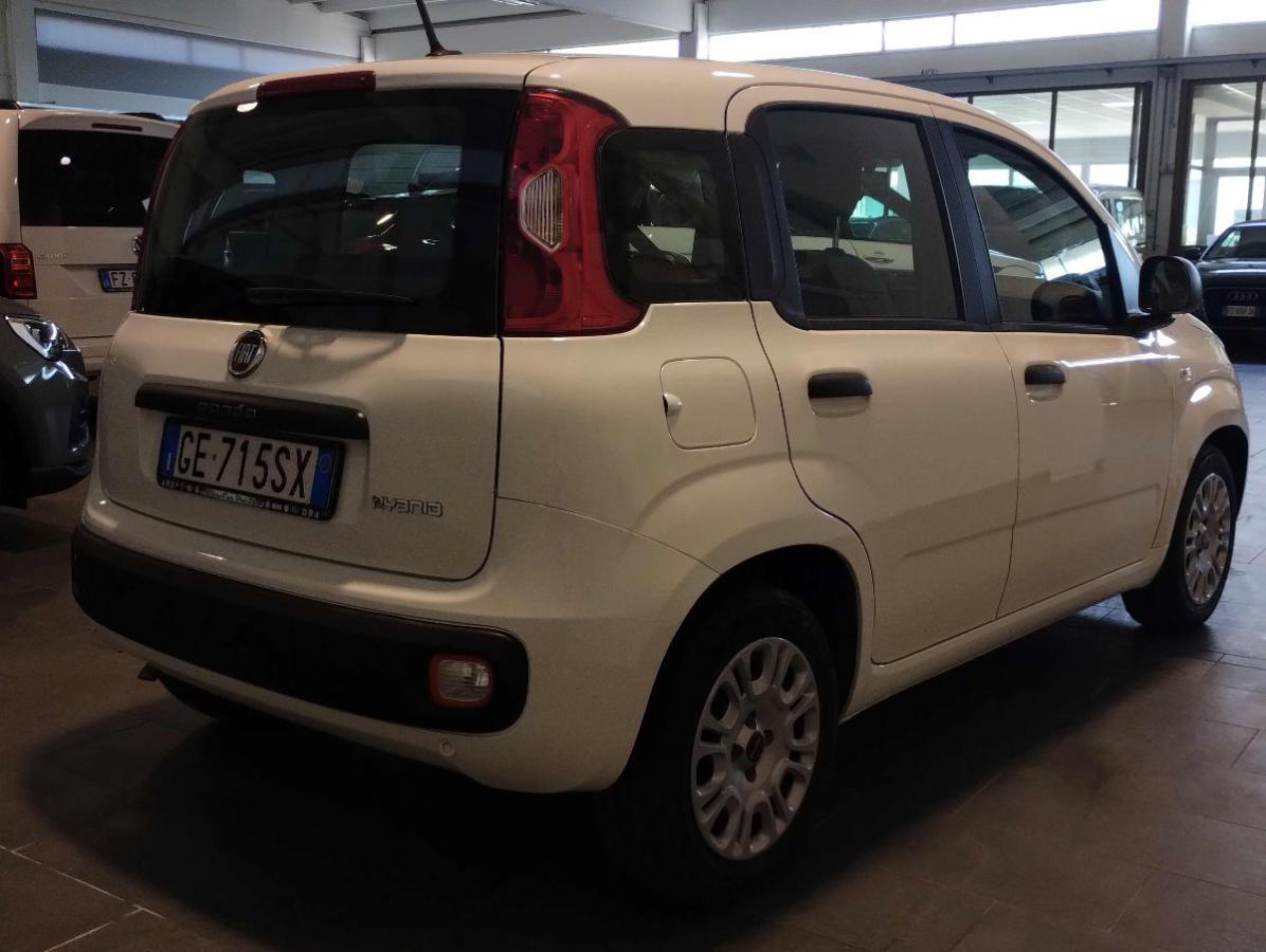 FIAT Panda 1.0 FireFly S&S Hybrid - SENSORI PARK - GAR.24 MESI