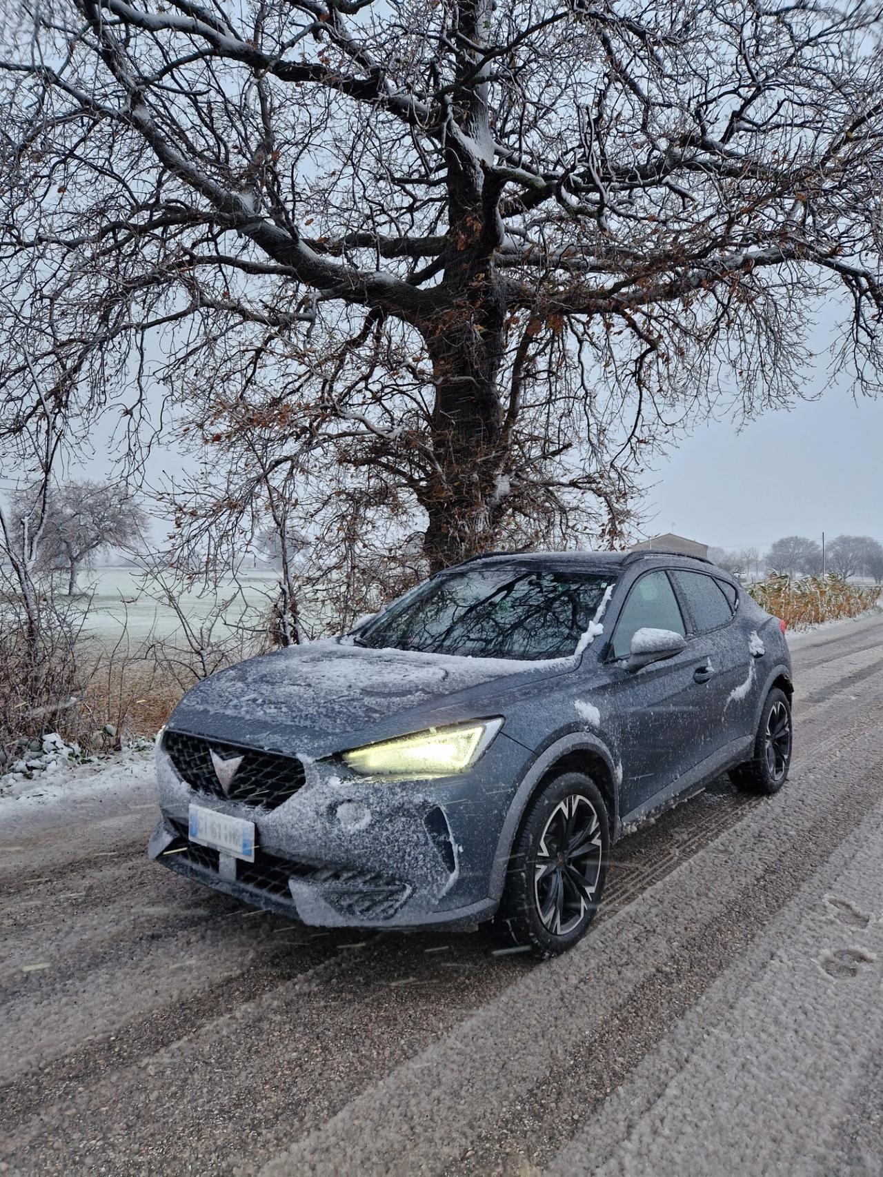 Cupra Formentor 2.0 TDI 4x4 DSG garanzia ufficiale