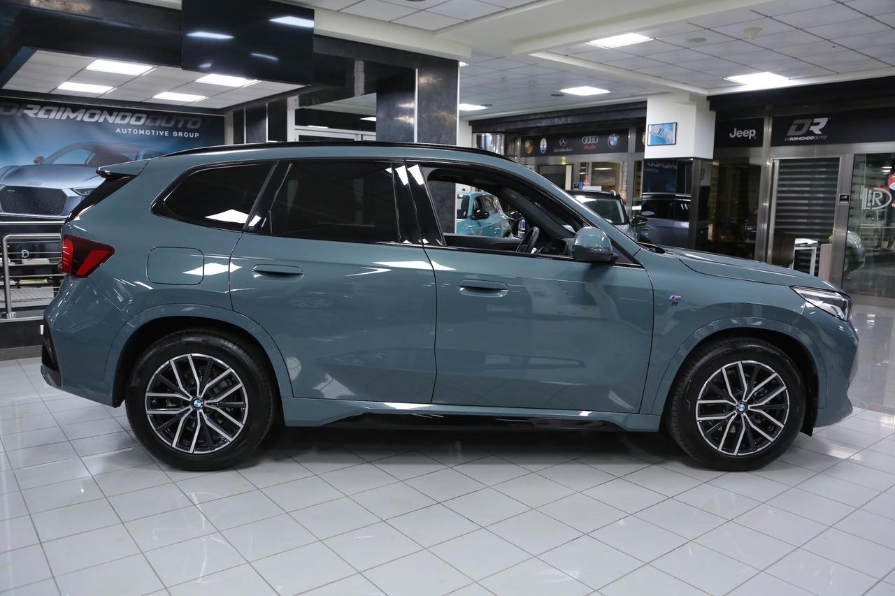 BMW X1 xDrive20d mhev Msport auto
