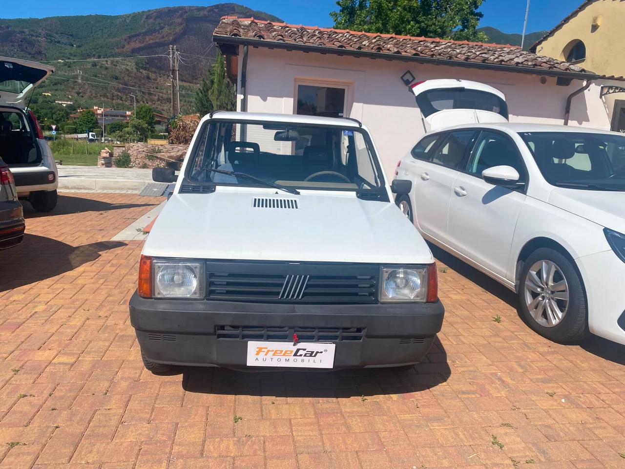 Fiat Panda 1100 i.e. cat Young