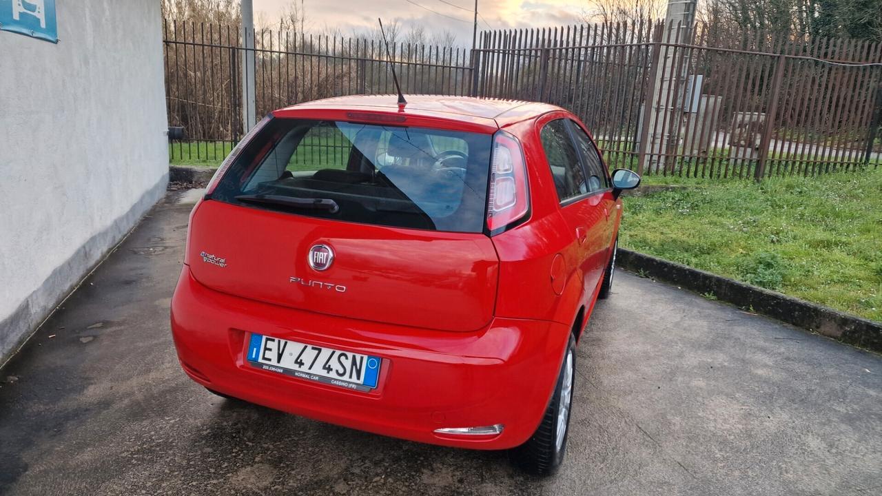 Fiat Punto 1.4 5 porte Lounge - 2014