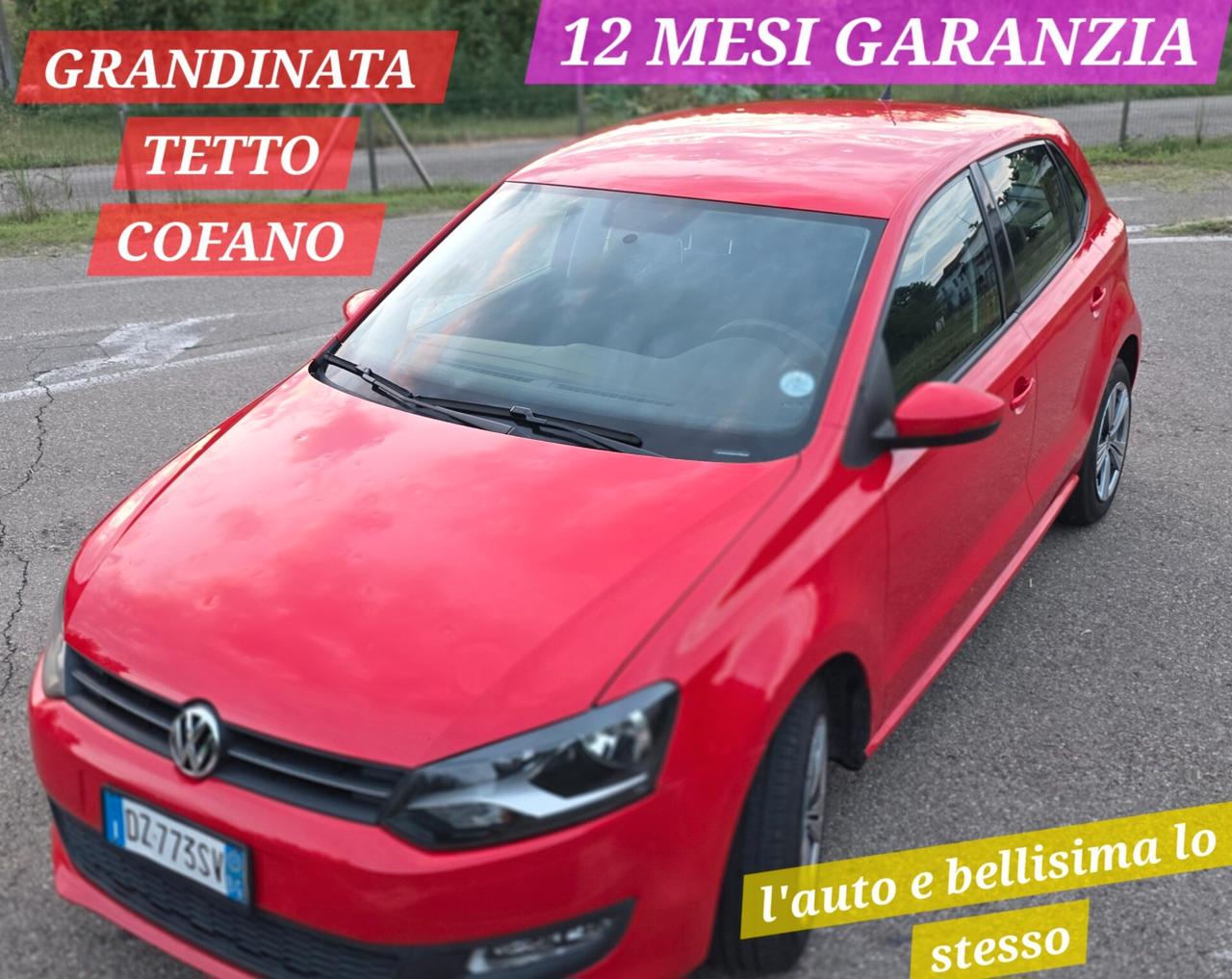 Volkswagen Polo 1.6 TDI anche NEOPATENTATI