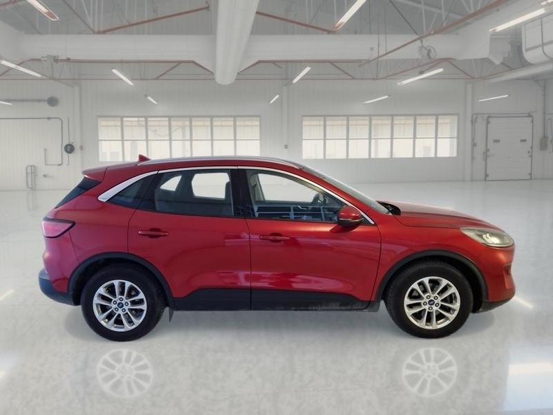 FORD KUGA 1.5 EcoBlue 120CV 2WD Titanium Business Auto