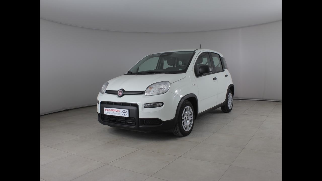 FIAT Pandina III 2024 - Pandina 1.0 firefly hybrid s&s 70cv
