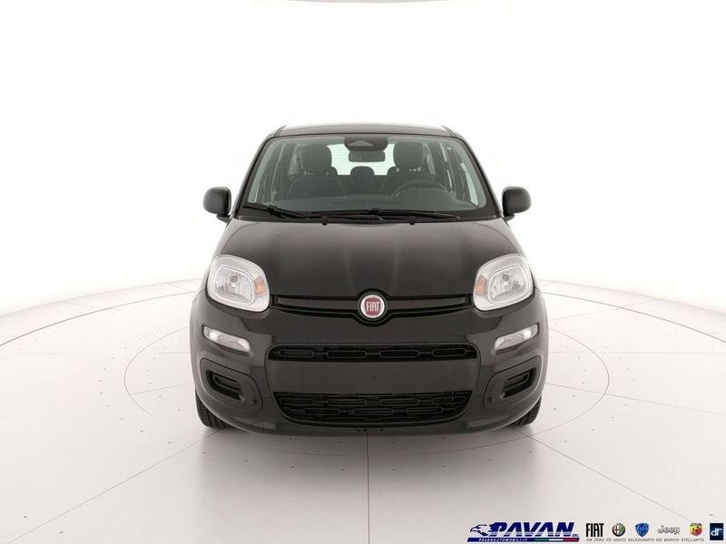 FIAT Pandina Panda 1.0 FireFly 65 CV Hybrid Pop